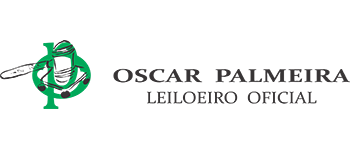 Oscar Palmeira