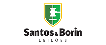 Logotipo GERSON ANOR BORIN DA SILVA NETO